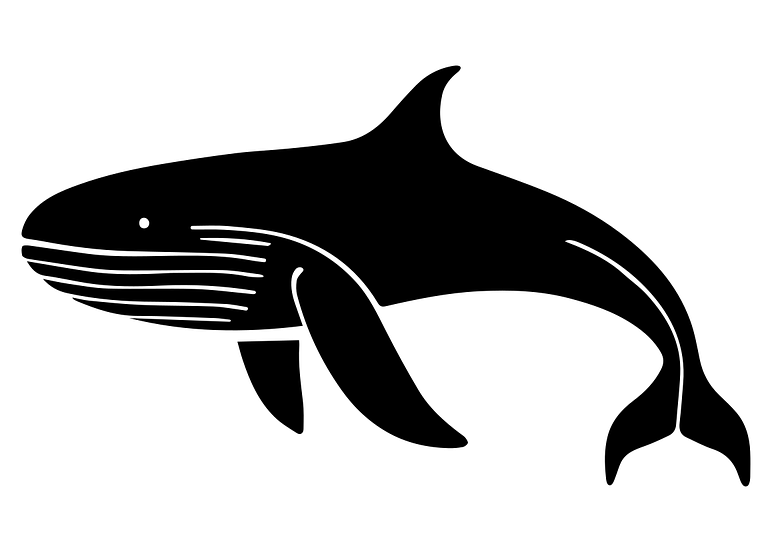 backgroundcornerz-whale-10112354_1280